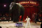 Den Bosch 19  november 2008
Kerstcircus rtl gepresenteerd door Wendy v Dijk en Beau v Erven Dorens.  Lieke v Lexmond doet act met olifant
Peter Smulders bv