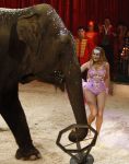 Den Bosch 19  november 2008
Kerstcircus rtl gepresenteerd door Wendy v Dijk en Beau v Erven Dorens.  Lieke v Lexmond doet act met olifant
Peter Smulders bv