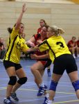 Eindhoven, 18 Oktober 2008
Handbalwedstrijd Dames PSV 2-Avanti, eindstand 16-12
Macha Jansen (No.9)