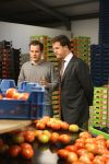 Bleiswijk, 17 November 2008
Bezoek Mark Rutte aan tomatenkwekerij van den bosch BV
Op de foto Mark Rutte met Rik van den Bosch
Foto Peter Smulders BV