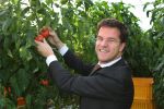 Bleiswijk, 17 November 2008
Bezoek Mark Rutte aan tomatenkwekerij van den bosch BV
Op de foto Mark Rutte met Rik van den Bosch
Foto Peter Smulders BV