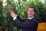 Bleiswijk, 17 November 2008
Bezoek Mark Rutte aan tomatenkwekerij van den bosch BV
Op de foto Mark Rutte met Rik van den Bosch
Foto Peter Smulders BV
