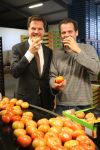 Bleiswijk, 17 November 2008
Bezoek Mark Rutte aan tomatenkwekerij van den bosch BV
Op de foto Mark Rutte met Rik van den Bosch
Foto Peter Smulders BV