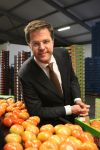 Bleiswijk, 17 November 2008
Bezoek Mark Rutte aan tomatenkwekerij van den bosch BV
Op de foto Mark Rutte met Rik van den Bosch
Foto Peter Smulders BV