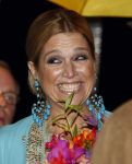 Amsterdam 12 november 2008
Prinses Maxima opent india festival in het concertgebouw.
Peter Smulders bv