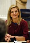 Den Haag 26 november 2008
Prinses Maxima bij evenemet in tweede kamer op het binnenhof.
Peter Smulders bv