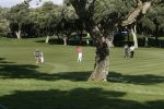 4 November 2007 Valderrama Golfclub ( Spanje )
Finaledag Volvo Masters Seizoen 2007
Robert Jan Derksen (38e en totaal verdiend 809.000 euro )