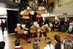 Den Haag 19 december 2008
Het Russisch staatscircus treedt op in het Juliana kinderziekenhuis.
Peter Smulders bv
