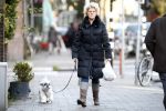 Amsterdam 10 december 2008
Simone Kleinsma met hondje an het wandelen.
Peter Smulders bv