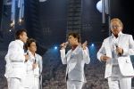 Amsterdam 22 mei 2010
Toppers in de arena met Rene Froger Gerard Joling Jeroen v d Boom en Gordon.
Peter Smulders bv