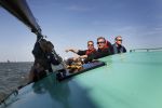 Lemmer, 4 Juli 2011
De SKS skutsjes zijn samen met de skutsjes uit de A-klasse van de IFKS ingedeeld in Klasse 1 Als fotograaf aan boord van de STRIIDBER met schipper Siebo Zijsling | uit Ijlst
Foto Peter Smulders BVâ€¨ (2-2-7)