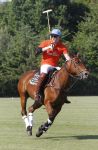 Aalst-Waalre, 26 Mei 2012
Paarden Polo wedstrijd op het landgoed Eeckenrhoode van Leo v Berkel
Hubert Hein v Berkel
Foto Peter Smulders BV