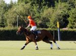 Aalst-Waalre, 26 Mei 2012
Paarden Polo wedstrijd op het landgoed Eeckenrhoode van Leo v Berkel
Hubert Hein v Berkel
Foto Peter Smulders BV