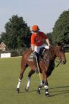 Aalst-Waalre, 26 Mei 2012
Paarden Polo wedstrijd op het landgoed Eeckenrhoode van Leo v Berkel
Hubert Hein v Berkel
Foto Peter Smulders BV