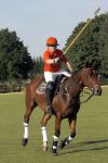 Aalst-Waalre, 26 Mei 2012
Paarden Polo wedstrijd op het landgoed Eeckenrhoode van Leo v Berkel
Hubert Hein v Berkel
Foto Peter Smulders BV