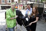Amsterdam 23 mei 2012
Tatjana melkt een koe  tijdens een reclame stunt van campina.
Peter Smulders bv