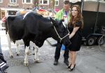 Amsterdam 23 mei 2012
Tatjana melkt een koe  tijdens een reclame stunt van campina.
Peter Smulders bv