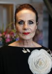 Amsterdam 21 juni 2013
Presentatie boek Tom Sebastian bij de westergasfabriek. Ans Markus
Peter Smulders bv