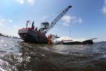 Heeg, 8 Juni 2013 Skutjezeilen op het Heegermeer

Foto Peter Smulders BV