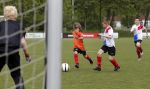 Beverwijk 25 mei 2013
Voetbaltournooi van Rafael v d Vaart . Zijn vriendin Sabia Boulahrouz en zoon Damian zijn ook aanwezig.
Peter Smulders bv
