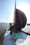 Heeg, 8 Juni 2013 Skutjezeilen op het Heegermeer

Foto Peter Smulders BV