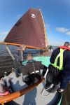 Heeg, 8 Juni 2013 Skutjezeilen op het Heegermeer

Foto Peter Smulders BV