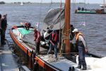 Heeg, 8 Juni 2013 Skutjezeilen op het Heegermeer

Foto Peter Smulders BV