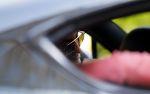 Amsterdam 21 mei 2015
Hakim Ziyech in zijn bentley in amsterdam met vrienden