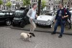 Amsterdam 2 juni 2016 
Terras special award van Talkiesgaat dit jaar naar Hotel the Dylan. Jos v Raak laat hond uit