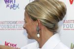 Amsterdam 4 juni 2016
Amsterdam Dam diner in de HMH tbv het aidsfonds.
Prinses Mabel