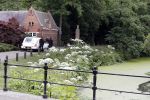 Vught 13 juni 2017
Herdenkingsdienst/ begrafenis van Sandra Reemer in kasteel Maurick.