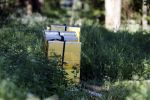 Eefde 26 mei 2017
Boerderij / huis van Matthijs v Nieuwkerk. Een konijn wordt door een hond achterna gezeten.  wespen bijen