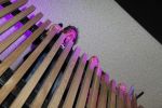 Rotterdam 16 juni 2017
Opening blushing Rotterdam van Gordon . Gerard Joling