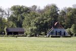 Eefde 26 mei 2017
Boerderij / huis van Matthijs v Nieuwkerk. Een konijn wordt door een hond achterna gezeten.
