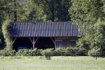 Eefde 26 mei 2017
Boerderij / huis van Matthijs v Nieuwkerk. Een konijn wordt door een hond achterna gezeten.