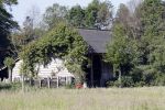 Eefde 26 mei 2017
Boerderij / huis van Matthijs v Nieuwkerk. Een konijn wordt door een hond achterna gezeten.
