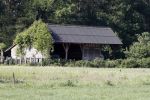 Eefde 26 mei 2017
Boerderij / huis van Matthijs v Nieuwkerk. Een konijn wordt door een hond achterna gezeten.