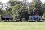 Eefde 26 mei 2017
Boerderij / huis van Matthijs v Nieuwkerk. Een konijn wordt door een hond achterna gezeten.
