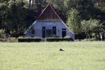 Eefde 26 mei 2017
Boerderij / huis van Matthijs v Nieuwkerk. Een konijn wordt door een hond achterna gezeten.
