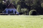 Eefde 26 mei 2017
Boerderij / huis van Matthijs v Nieuwkerk. Een konijn wordt door een hond achterna gezeten.