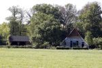 Eefde 26 mei 2017
Boerderij / huis van Matthijs v Nieuwkerk. Een konijn wordt door een hond achterna gezeten.