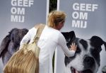 Amersfoort 30 mei 2017
Milika Peterzon en haar dochter Kiki bij de diernebescherming in Amersfoort