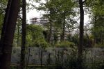 Den Haag 5 juni 2017
Paleis Huis ten Bosch wordt helemaal verbouwd. Het staat helemaal in de steigers.