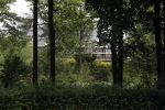 Den Haag 5 juni 2017
Paleis Huis ten Bosch wordt helemaal verbouwd. Het staat helemaal in de steigers.