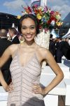Amsterdam 17 juni 2017  
Amsterdam diner in het AFAS music hall in Amsterdam. Romy Monteiro