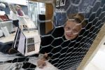 Amsterdam 16 mei 2017 
Free a Girl . lock me up met Thomas Berge Cassidy Roeks Hannelore Zwitserlood Niels Geusebroek en Marieke t Hart. Ze zitten opgesloten op het hoofdkantoor van de telegraaf.