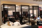 Laren, 16 Mei 2018
Aktie Lock Me Up - Free a Girl