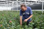 Rijsenhout, 16 Mei 2018
Boer Jaap Vreeken Boer zoekt vrouw