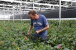Rijsenhout, 16 Mei 2018
Boer Jaap Vreeken Boer zoekt vrouw