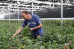 Rijsenhout, 16 Mei 2018
Boer Jaap Vreeken Boer zoekt vrouw